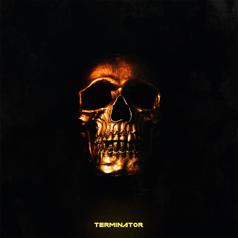 Terminator (Long) - Free Drumless Track